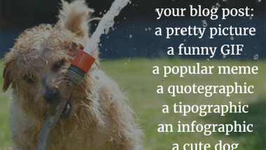 Always include a graphic with your blog post or podcast episode: a pretty picture, a funny GIF, a popular meme, a quotegraphic, a tipographic, an infographic, a cute dog, a book cover.